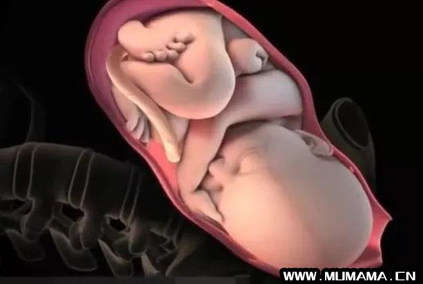 孕妇顺产过程是怎么样的(四川首例新冠感染孕妇顺利分娩的背后)