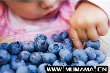 宝宝可以吃蓝莓吗 蓝莓怎么吃(4岁宝宝吃蓝莓中毒)