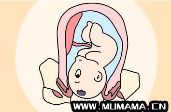 胎中胎是什么原因造成
