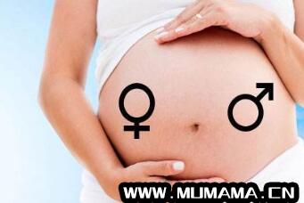 孕前饮食对生男生女的影响