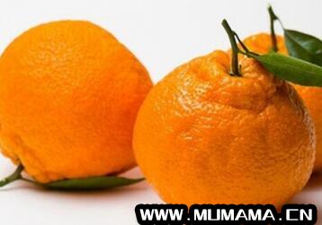 丑橘什么时候上市 丑八怪水果几月份吃最好(茂谷柑……逛完杭州的水果店我晕了)