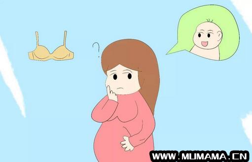 孕期各个阶段的乳房保健秘诀(哺乳期宝妈应该如何养护乳房)