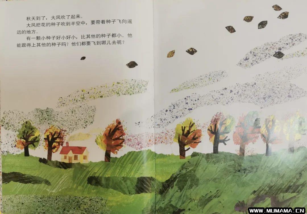 儿童绘本故事《小种子》