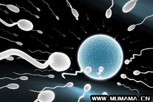 人工受精和试管婴儿的区别