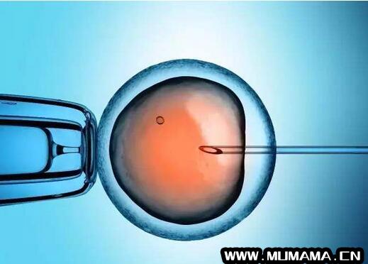 人工受精和试管婴儿的区别