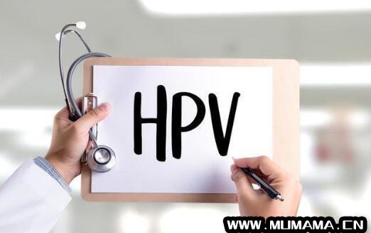 hpv是什么病什么意思(HPV是什么)