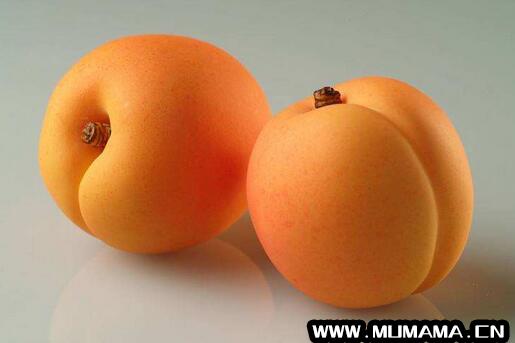 孕妇可以吃杏子吗