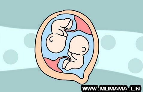 怀孕多久能查出来是不是双胞胎(验孕棒几天能测出来)