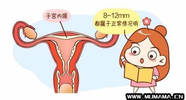 子宫内膜增厚的5个办法(怎样才能让子宫内膜增厚)