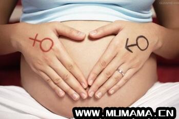 怀孕几个月能看出胎儿性别