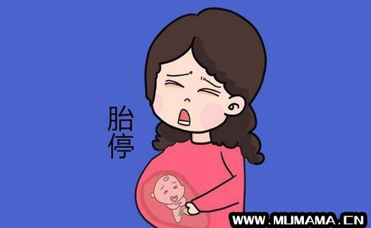 怀孕两个月胎停的症状(可能是胎停育)