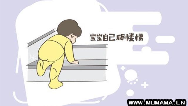 怎么教宝宝上下楼梯？(狗狗害怕上下楼梯怎么办)