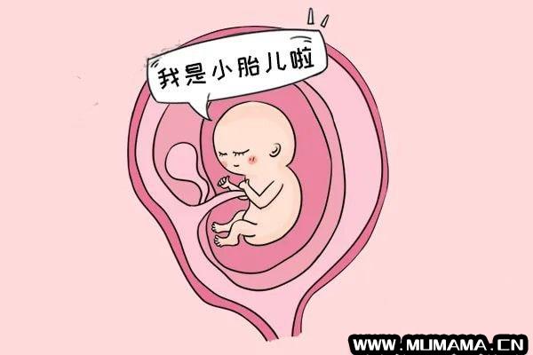 怀孕期间注意事项，胚胎最怕这些事