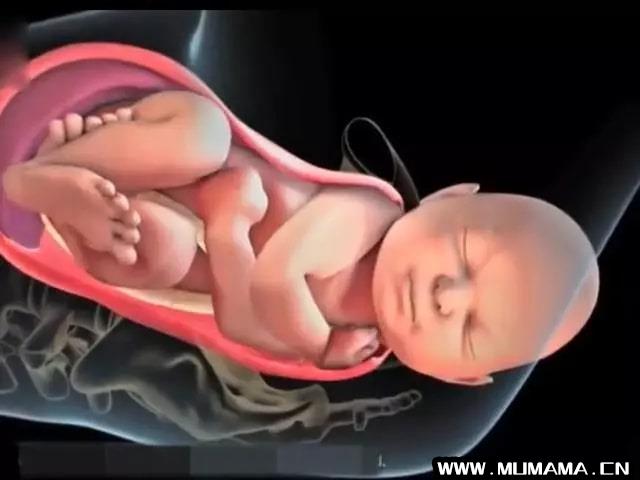 孕妇顺产过程是怎么样的