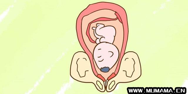 胎儿一般几周入盆？(入盆是什么感觉)
