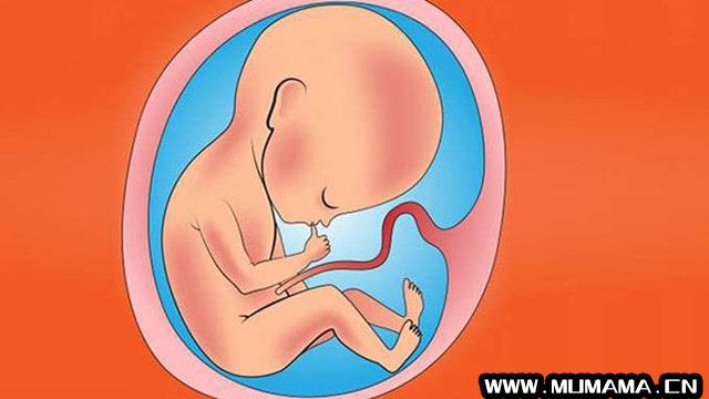 胎儿发育猛长期，孕妈会有这3个感觉