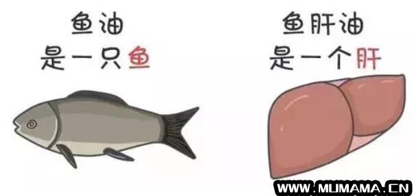 鱼油和鱼肝油的区别是什么