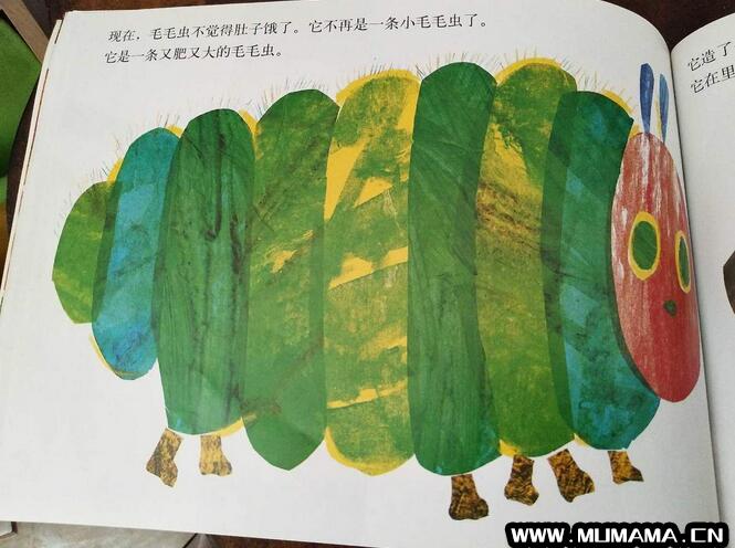 儿童绘本故事推荐《好饿的毛毛虫》