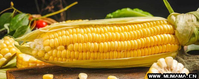 甜玉米是转基因的吗(你吃的玉米是转基因的吗)