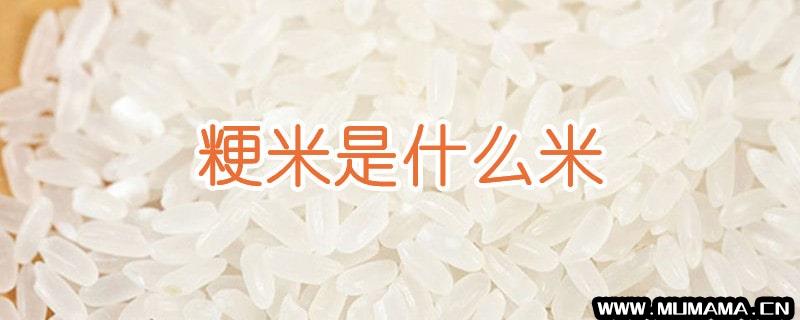 粳米是什么米(籼米是什么米)