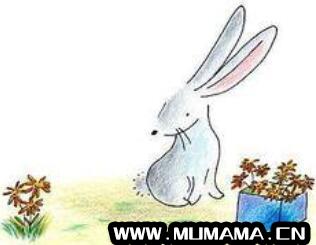 小白兔的故事：小白兔照镜子的故事