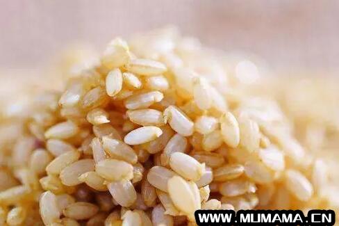 发芽的糙米：可食用