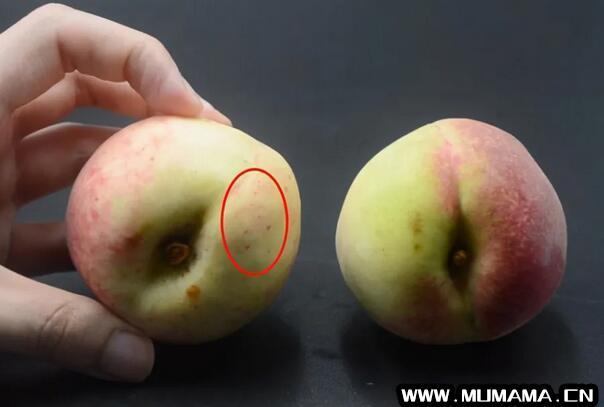 挑选桃子时候，四招分辨桃子是否被激素催熟