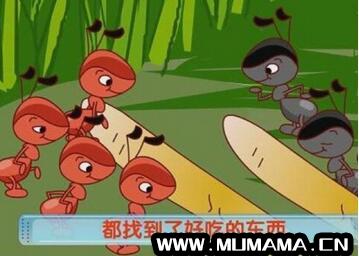 胎教小故事：红蚂蚁和黑蚂蚁(幼儿故事:红蚂蚁和黑蚂蚁)