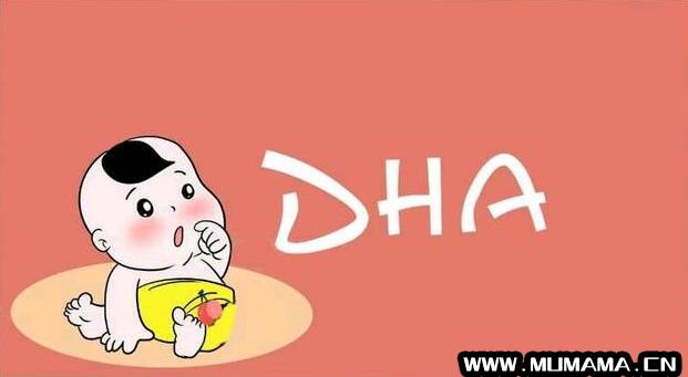 dha是什么 dha什么时候吃最好