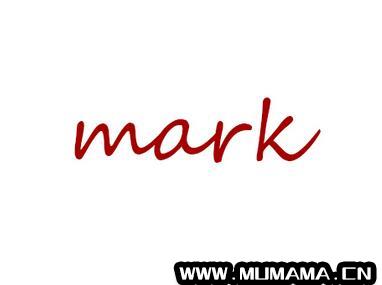 mark是什么意思