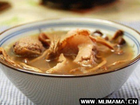 茶树菇汤的功效与作用，干茶树菇怎么煲汤好喝(如何挑选干茶树菇)