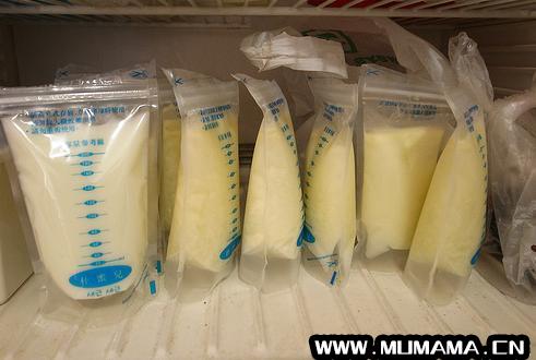 储奶袋可以放温奶器里解冻吗，冻奶来不及化直接放温奶器(冻奶该如何科学解冻)