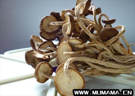 干茶树菇的功效与作用，茶树的功效和作用(茶树菇的功效与作用以及做法)