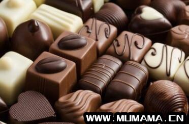 哪种巧克力好吃巧克力排行榜，世界上最好吃的巧克力排名(中国10大最好吃的巧克力品牌)