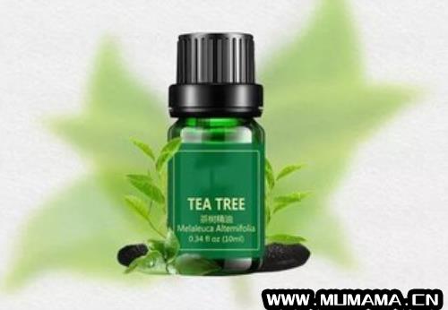 茶树精油价格多少钱一瓶，纯天然茶树精油多少钱一瓶