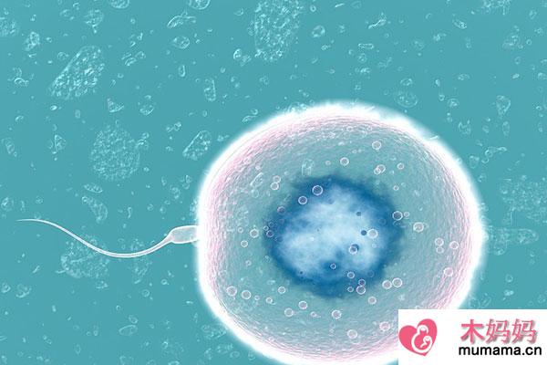 为什么排卵期不避孕也怀不上孩子？排卵期有什么感觉？