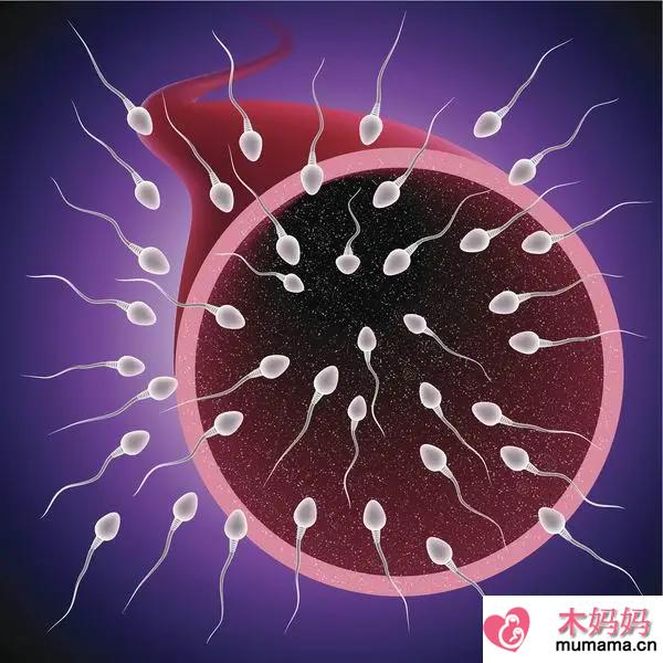 碘油造影对输卵管助孕作用