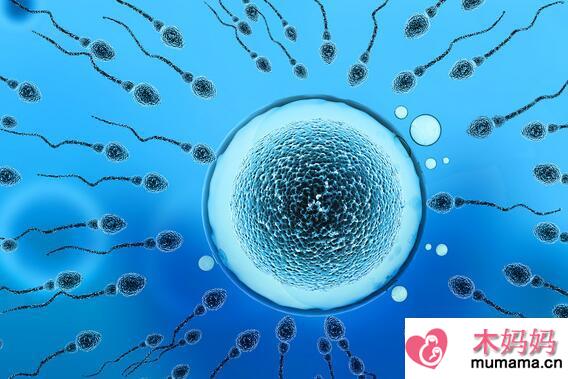 抗卵巢抗体阳性是什么意思