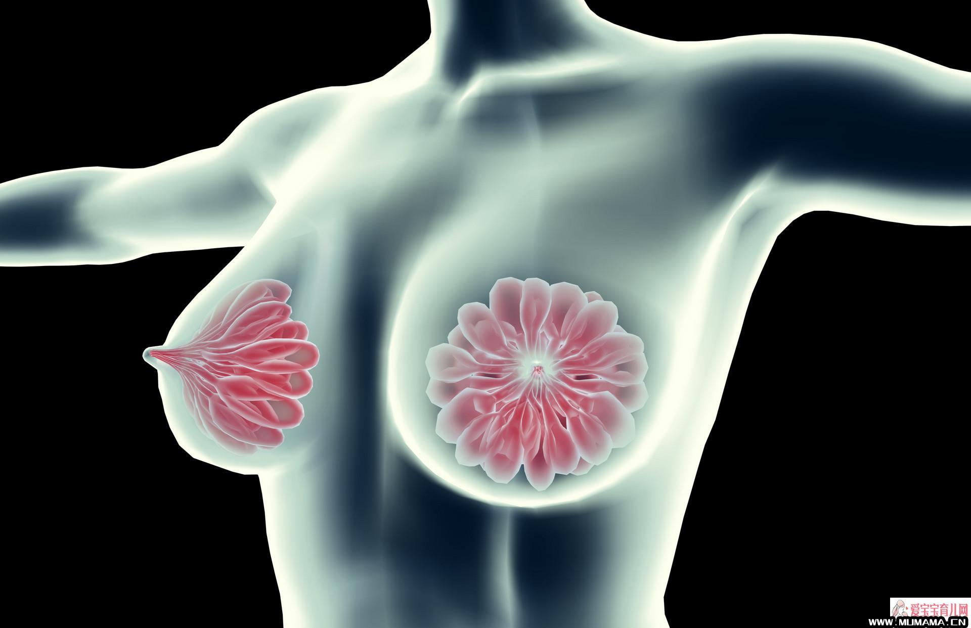 乳房保健养生：警惕六种行为带来危害