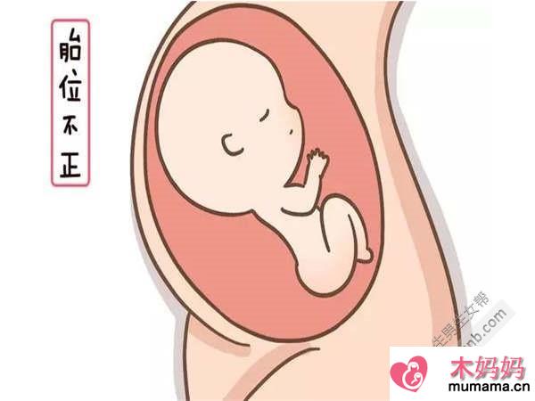 怀孕三个月孕期注意事项