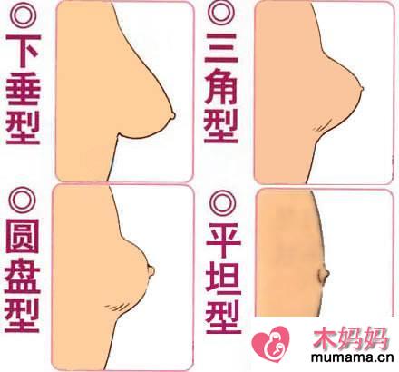 中国女人乳房有哪些形状：乳房10个标准形态（图）