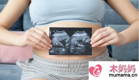 卵子受精后怀孕成功的概率有多大？