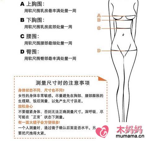 臀围怎么量标准图：你真的会测量女性三围吗