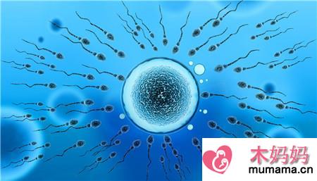 精子存活率低能否怀孕2