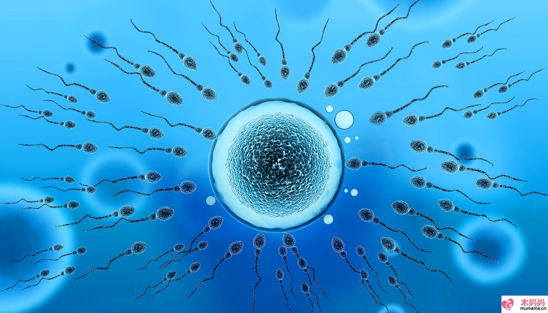 男性备孕精子量是无限的吗