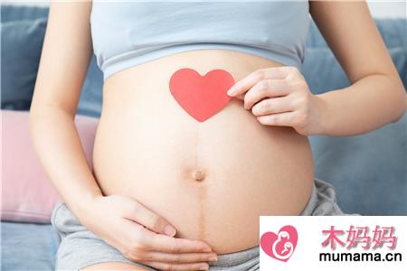 月经周期长怎么算怀孕天数2