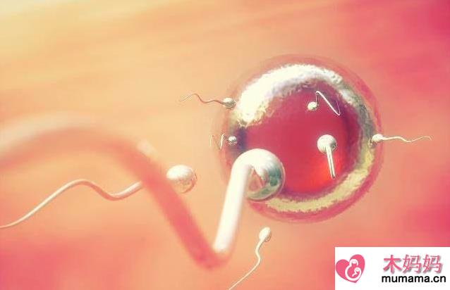 排卵期怀不上是什么原因 备孕期间怎么提高女性受孕率