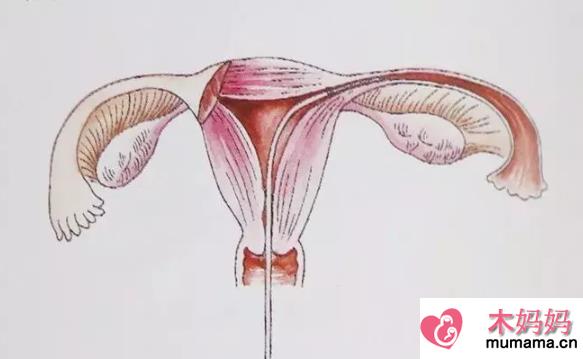 输卵管堵塞症状有哪些 输卵管不通如何预防