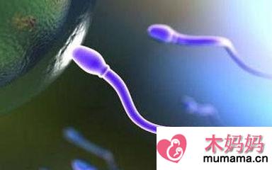 男人性爱时精子太少会不会影响怀孕 男人精子太少吃什么可以补回来