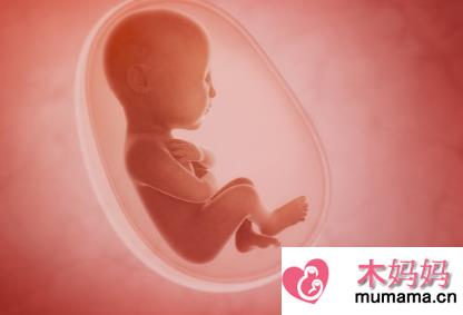 如何通过孕囊大小判断怀孕多久 孕早期B超适合那种情况